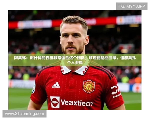 九游娱乐官网不莱梅赞助商详细介绍及其在足球界的影响力分析